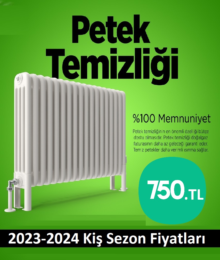 Pendik Petek Temizliği Tek Fiyat Teklifi Al